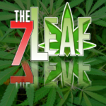 Store – gallery image 2