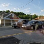 Revolution Releaf – gallery image 3