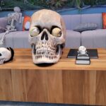 GOLDLEAF – gallery image 5