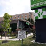 Green Point Wellness Linthicum – gallery image 3