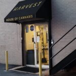 Store – gallery image 1