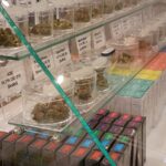 Store – gallery image 5