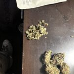 Chesapeake Apothecary – gallery image 5