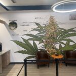 Store – gallery image 4