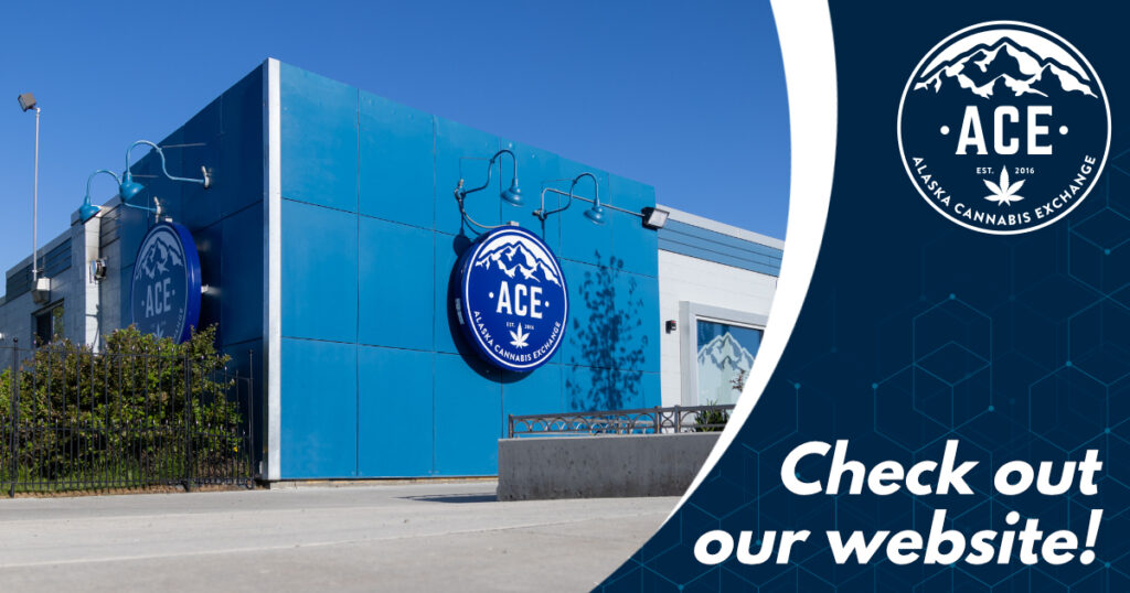 Store – main photo