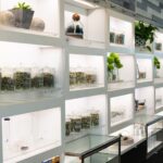 Store – gallery image 4