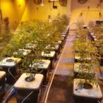 Store – gallery image 2