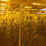 Store – gallery image 5