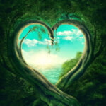 Cannabaska Downtown – gallery image 4