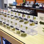 Store – gallery image 2