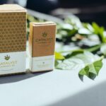 Store – gallery image 5