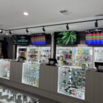 Store – gallery image 5