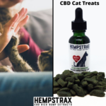 Store – gallery image 3