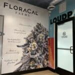 Store – gallery image 4