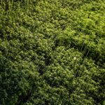 Store – gallery image 2