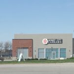 Store – gallery image 4