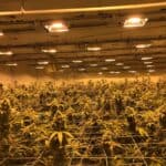 Store – gallery image 4