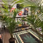 Mojo’s Hemp House & Dispensary – gallery image 3