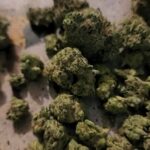 Michigan’s Finest Cannabis Co. – gallery image 5