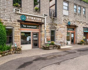 Strains of The Earth — Jordan, MN