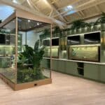 Root’d In The 510 Equity Weed Dispensary – gallery image 4