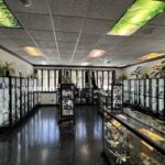 Store – gallery image 2