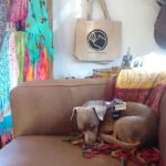 The Smoking Bear – gallery image 4