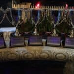 CannaCruz – gallery image 3