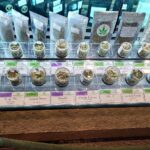 Las Vegas Cannabis Dispensary CannaStarz – gallery image 3
