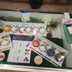 The Cannabis Co. Weed Dispensary – Las Vegas, NV – gallery image 4