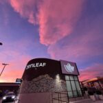 Zen Leaf Las Vegas – gallery image 4