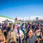 NuWu Cannabis LV – gallery image 2