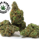 Mile High Dispensary – gallery image 2
