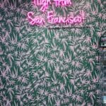 Store – gallery image 4