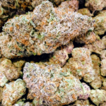 Store – gallery image 5