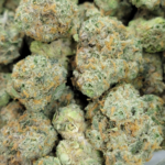 Store – gallery image 4