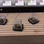 Store – gallery image 4