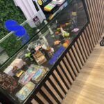 Store – gallery image 5