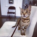 Store – gallery image 5