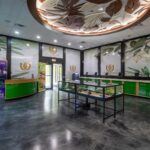 One Green Leaf – gallery image 5