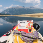 DANK Recreational and Medical Dispensary – gallery image 3