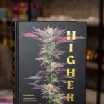 Store – gallery image 5