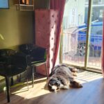 Store – gallery image 2