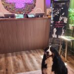 Store – gallery image 3