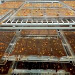 Store – gallery image 4