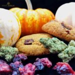 Store – gallery image 5