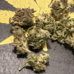 Store – gallery image 2