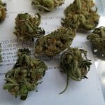 Store – gallery image 3