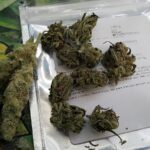 Store – gallery image 4