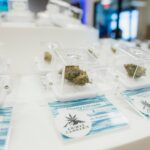 Store – gallery image 5